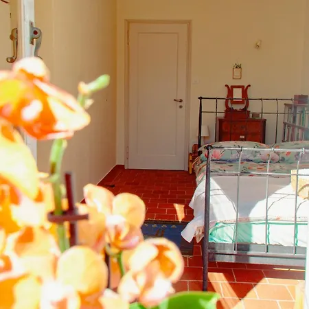 Dei Muralti- 2 Free Parkings Вилла Muralto