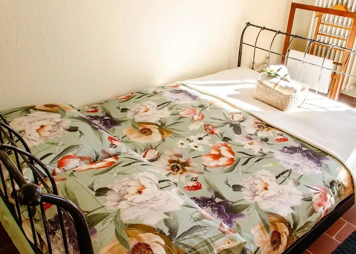 Villa Dei Muralti- 2 Free Parkings Muralto